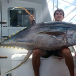 tuna aggregation