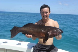 spearfishing cairns